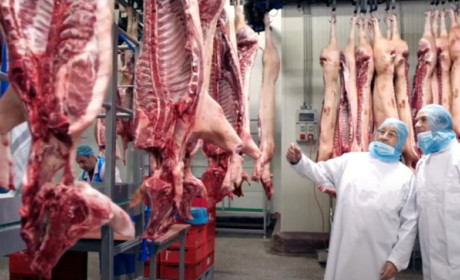 EU duy trì vị trí hàng đầu trong thương mại nông sản toàn cầu