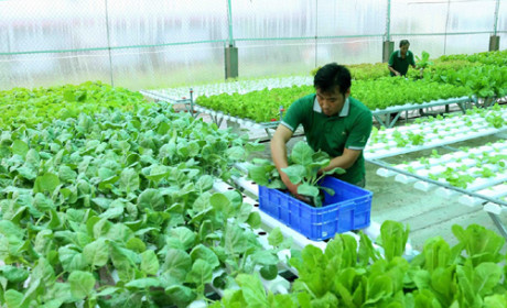 ASEAN to build common standards for organic products