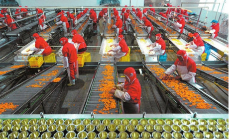 Almost $500m invested in Vietnam's farm product processing industry in H1 2019