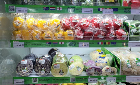 Việt Nam F&amp;B: An appealing industry for UK companies