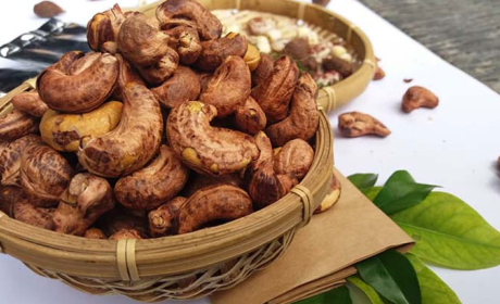 Xuất khẩu hạt điều 9 tháng năm 2022 đạt 2,29 tỷ USD