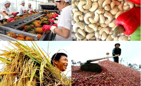 Các doanh nghiệp xuất khẩu nông lâm thủy sản Việt Nam cần thay đổi nhận thức về thị trường Trung Quốc