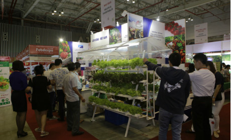 Ấn tượng với kim ngạch xuất khẩu rau quả