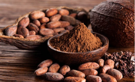 Loại nông sản Việt được đánh giá cao đang tăng giá trên trường quốc tế