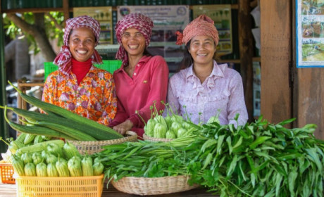 Hệ thống lương thực toàn cầu đã đến lúc phải thay đổi