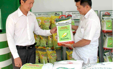 An Giang sẽ có khu gian hàng về gạo tại Vietnam Foodexpo 2015
