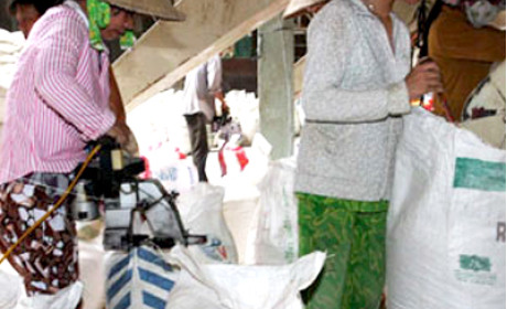 Đồng Tháp: Sẵn sàng cho Vietnam Foodexpo