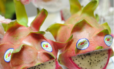 Hoa quả Việt Nam từng bước chinh phục thị trường thế giới