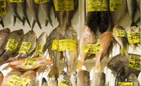 Thị trường cá toàn cầu