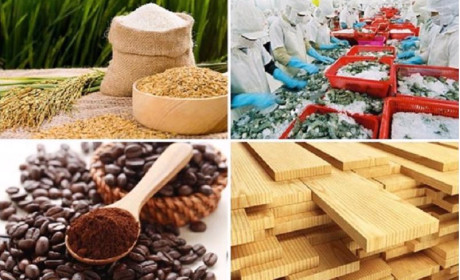 Thời cơ xuất khẩu gạo đang thuận lợi, lâm sản, thủy sản được “trợ thở”