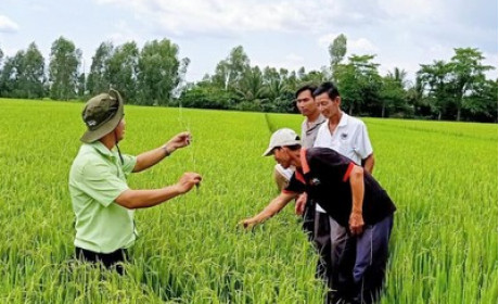 M&amp;A nông nghiệp, chế biến thực phẩm tăng tốc