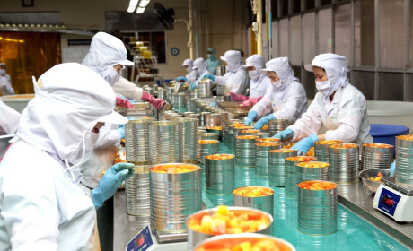 Xuất khẩu rau quả chế biến có thể đạt 1,2 tỷ USD