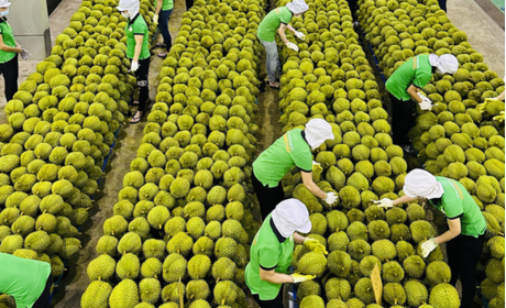 Lần đầu tiên xuất khẩu rau quả đạt trên 1 tỷ USD ngay trong những tháng đầu năm