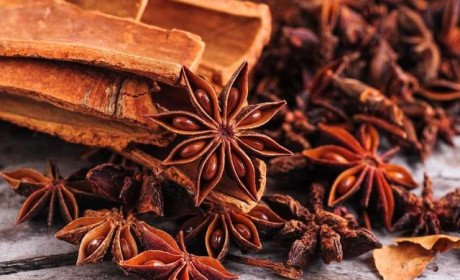 Hoa Kỳ, Ấn Độ và Bangladesh là ba thị trường chính nhập khẩu quế của Việt Nam - Cơ hội rộng mở cho quế Việt Nam